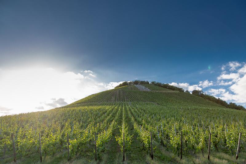 Weinhotel Ayler Kupp Exteriör bild